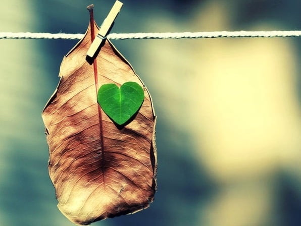 lifestyle-change
