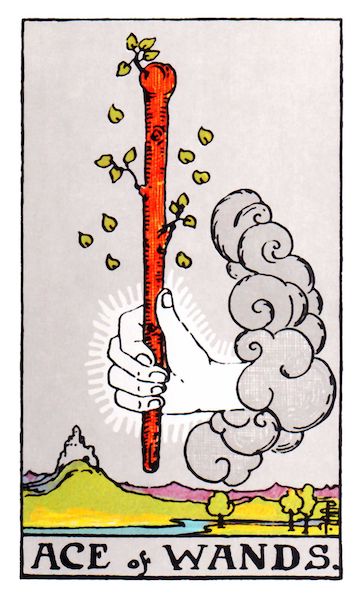 Ace of Wands