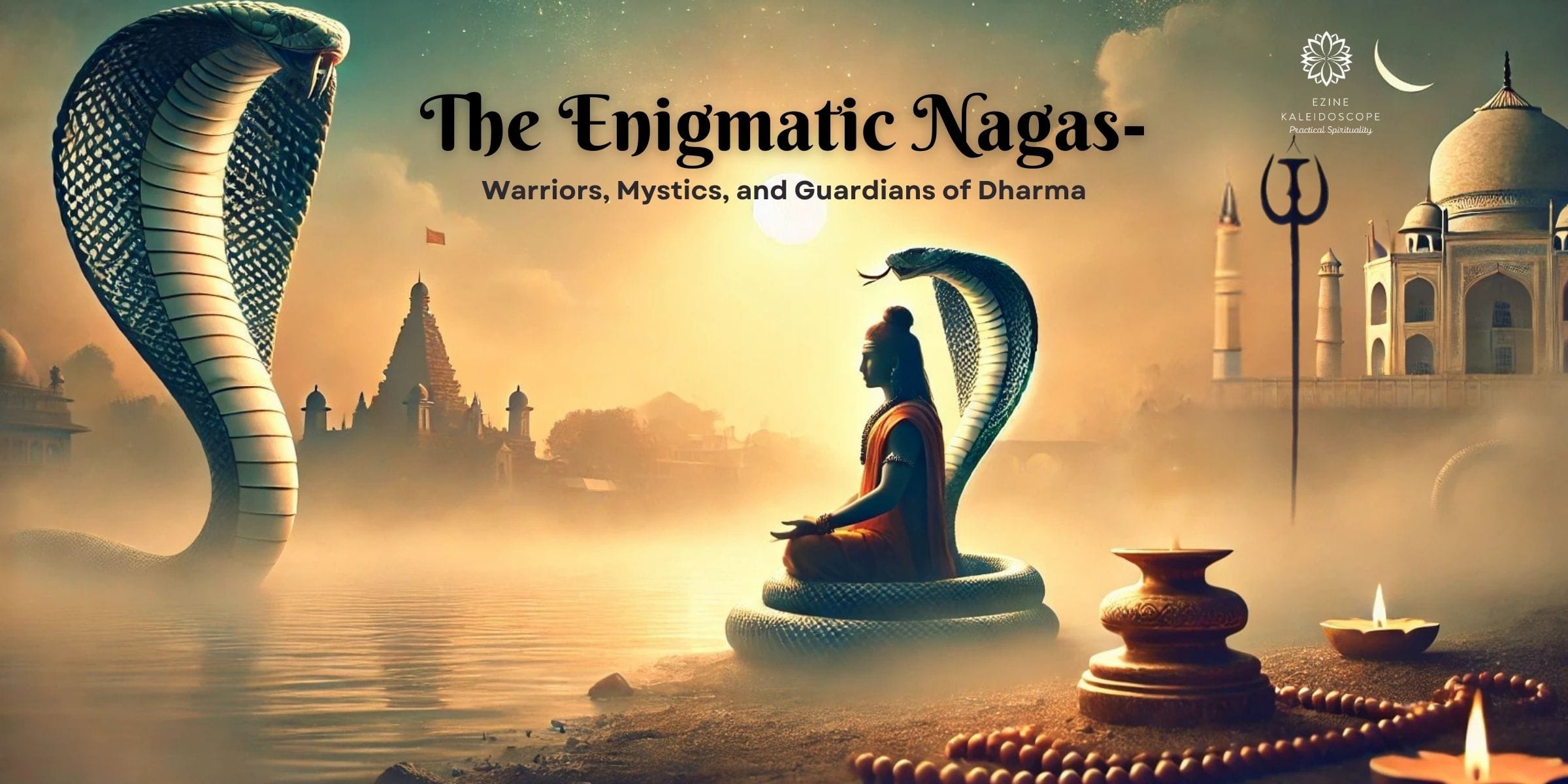 The Enigmatic Nagas